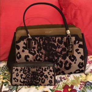 Coach Leopard Print Bag and Wallet